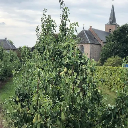 Op De Hendrik Hoeve In Buren (Gelderland)