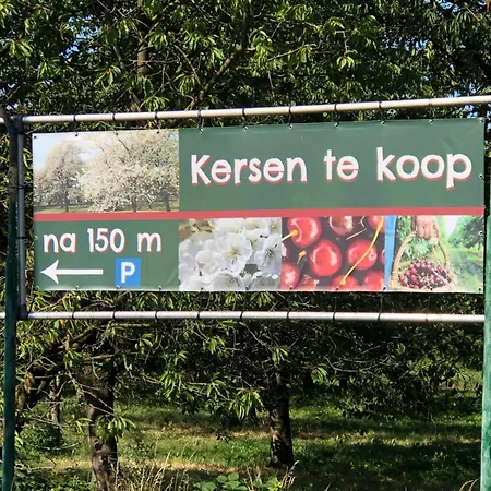 Op De Hendrik Hoeve In * Buren (Gelderland)