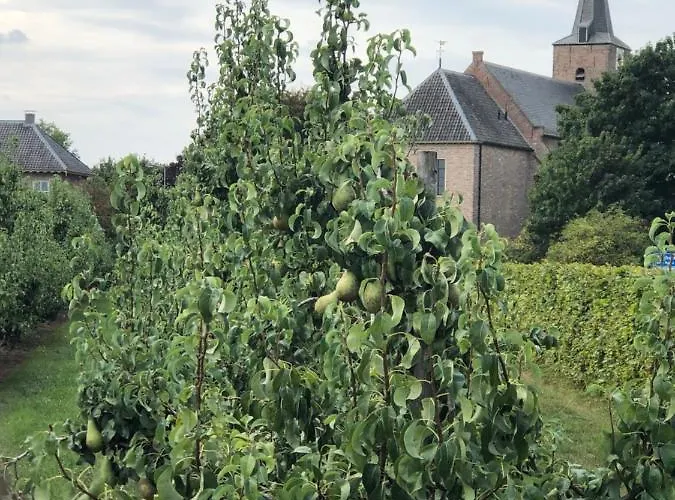 Op De Hendrik Hoeve In Buren (Gelderland)