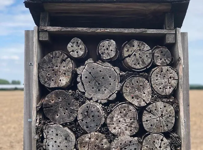 Holiday home Op De Hendrik Hoeve In *