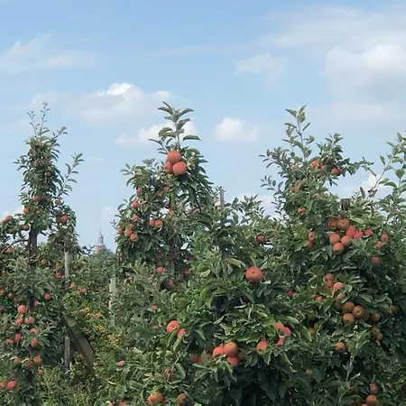 Σπίτι διακοπών Op De Hendrik Hoeve In Buren (Gelderland)