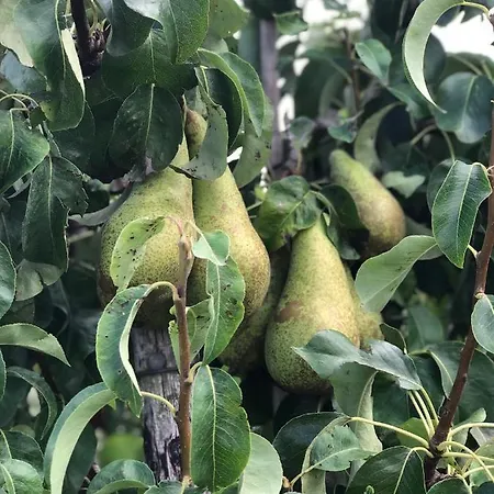 Σπίτι διακοπών Op De Hendrik Hoeve In Buren (Gelderland)