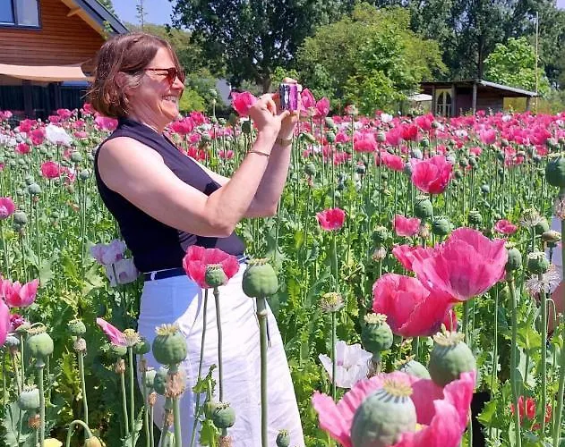 Op De Hendrik Hoeve In