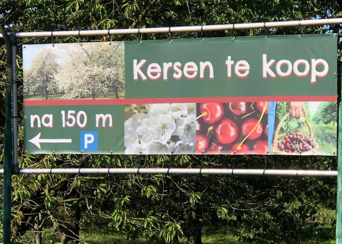 Op De Hendrik Hoeve In * Buren (Gelderland)